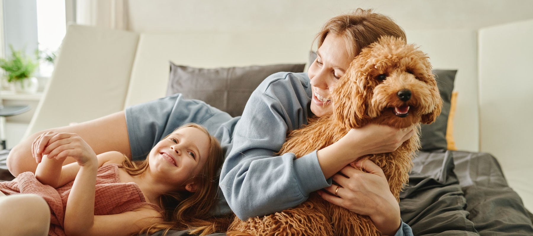 family for personal insurance